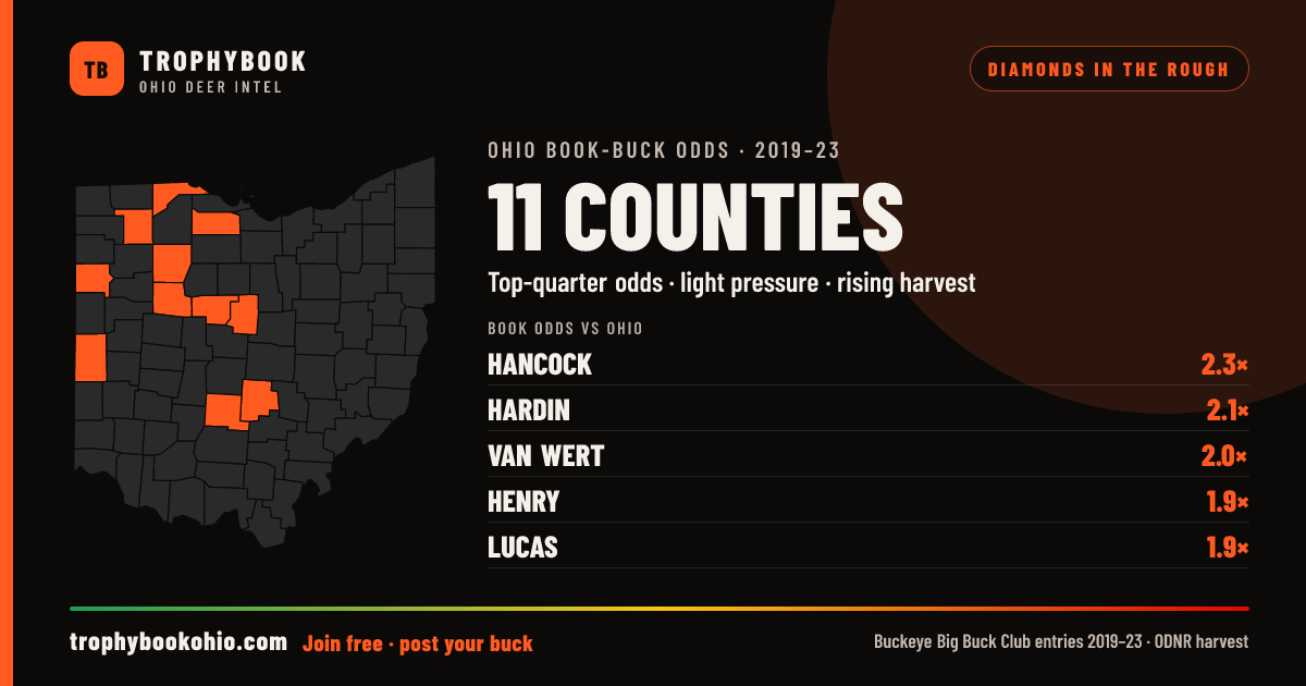 11 Ohio counties with top-quarter book-buck odds, outside the top 30 for harvest, and harvest rising. Hancock leads at 2.3× the state rate.