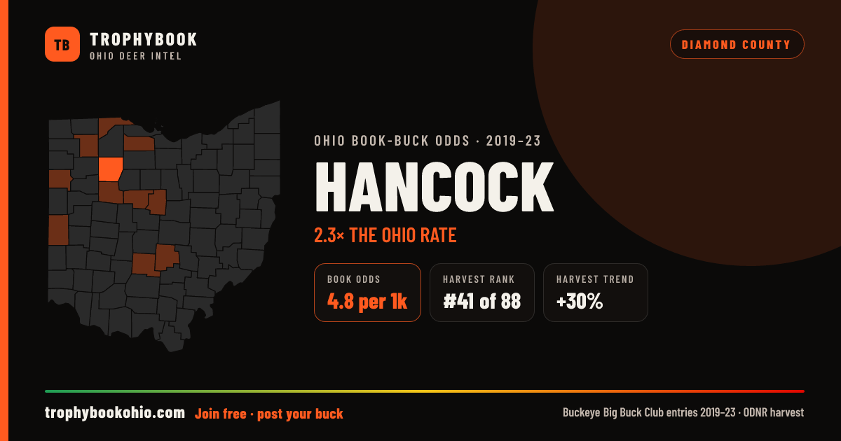 Hancock County: 4.8 record-book bucks per 1,000 deer, 2.3× the Ohio rate. #41 of 88 in harvest, and harvest is up 30%.
