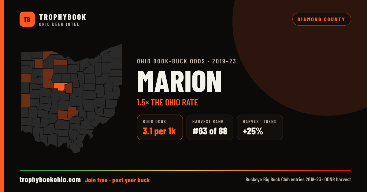 Marion County: 3.1 record-book bucks per 1,000 deer, 1.5× the Ohio rate. #63 of 88 in harvest, and harvest is up 25%.