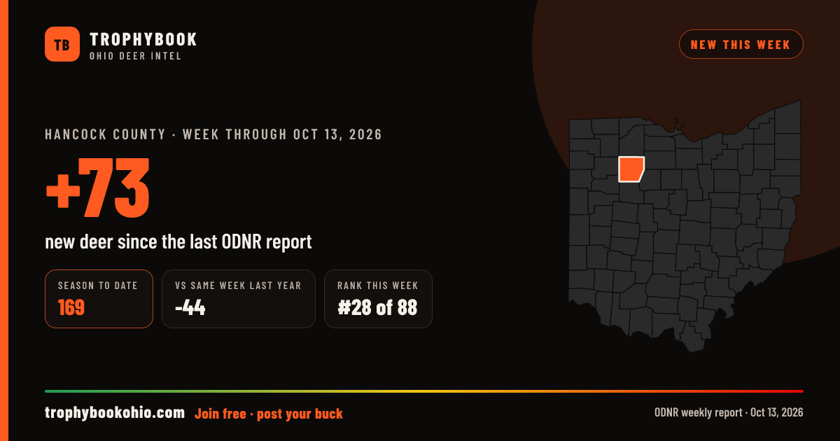 Hancock County: +73 deer checked in the week through Oct 13, 2026. Season to date: 169.