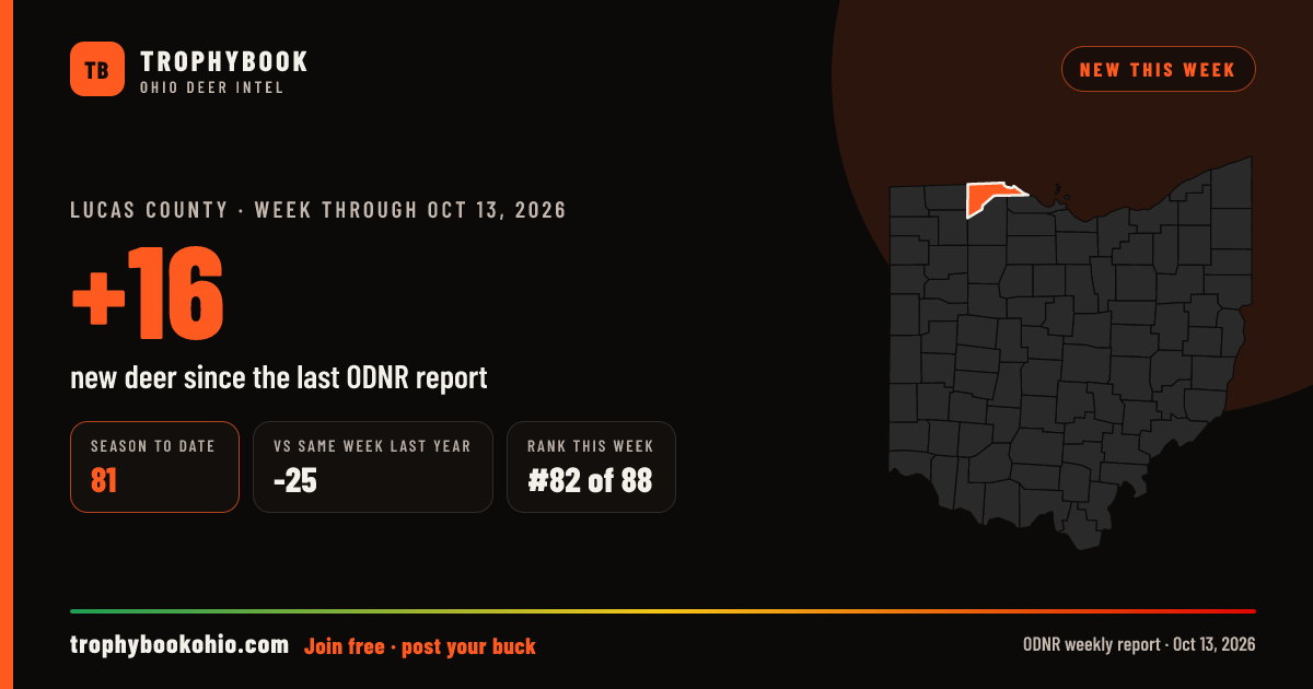 Lucas County: +16 deer checked in the week through Oct 13, 2026. Season to date: 81.